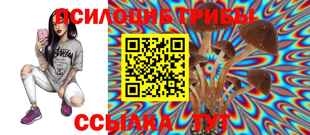 Псилоцибиновые грибы Psilocybe  Псилоцибиновые грибы Psilocybe  Вход с VPN  купить   Тольятти 